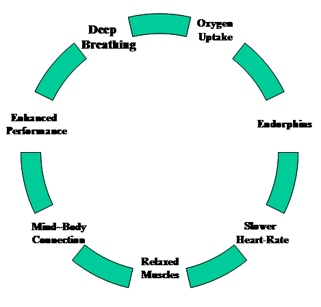 circle of excellence