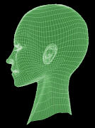 Wireframe-head jpg